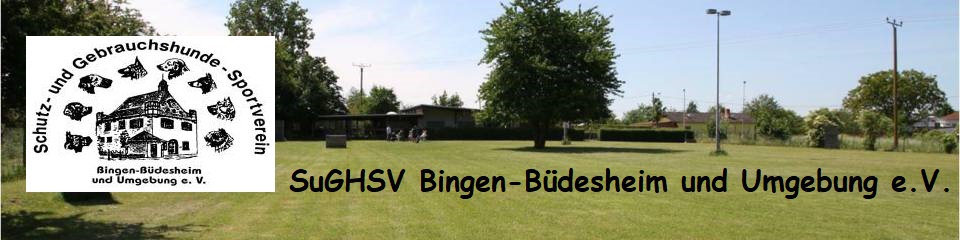 Hundesportverein Büdesheim
